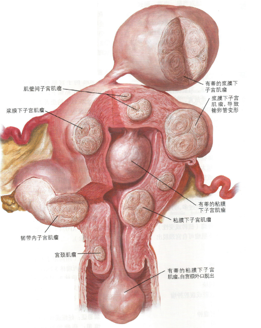 第388页