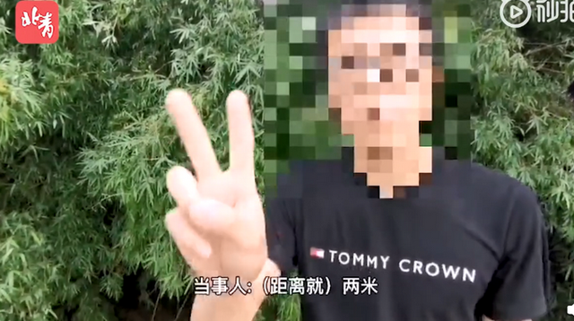 第413页